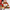 Mini Festive Treats