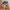 Seasons Greetings Gift Box